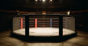 Online auf UFC wetten 2026 – Anbieter, Quoten und Rechtslage